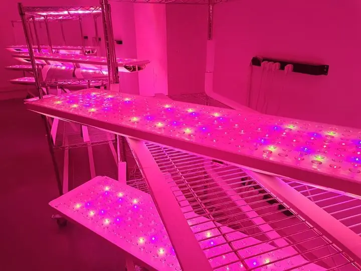 What Red Light Therapy Devices Are Fda Approved? A Comprehensive Guide 2 What Red Light Therapy Devices Are Fda Approved 01.jpg